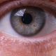 Illustration for article titled Shooting Challenge Eye Gallery 1